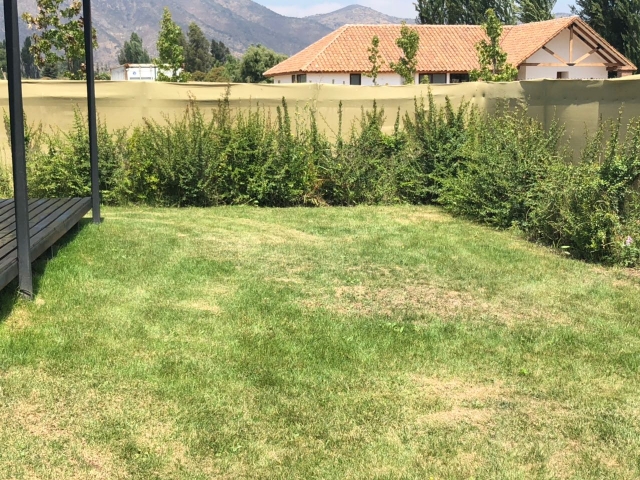 WhatsApp Image 2018-03-27 at 22.50.29 (2).jpeg